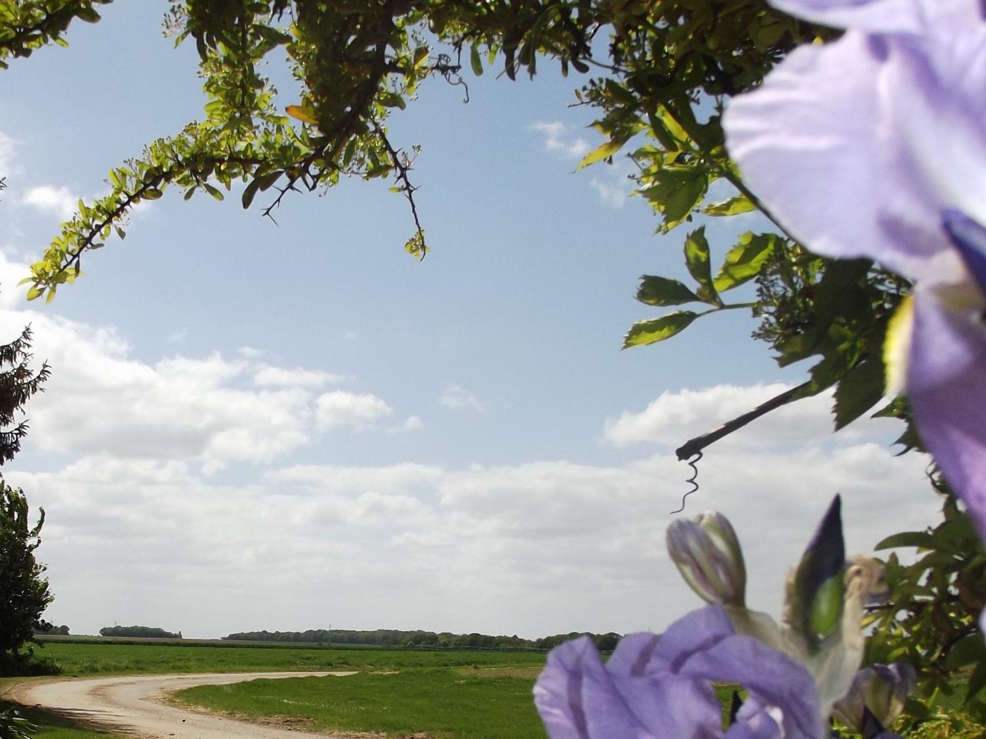 Charmante Maison De Campagne Avec Jardin Prive, Pres De Paris Et Orleans, Ideale Pour Familles - Fr-1-590-136 Audeville Eksteriør bilde
