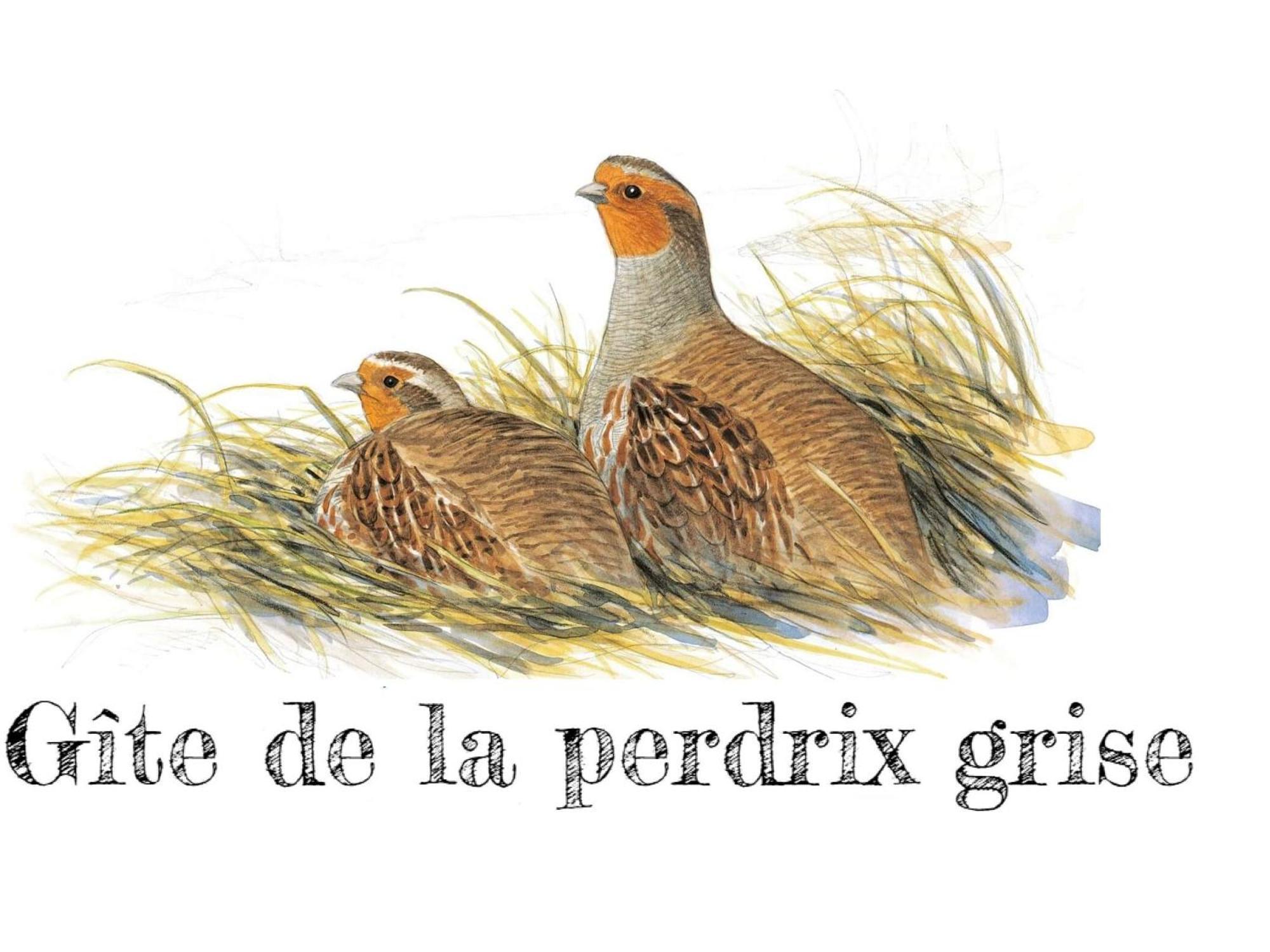 Charmante Maison De Campagne Avec Jardin Prive, Pres De Paris Et Orleans, Ideale Pour Familles - Fr-1-590-136 Audeville Eksteriør bilde